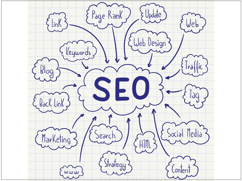 SEO infographics