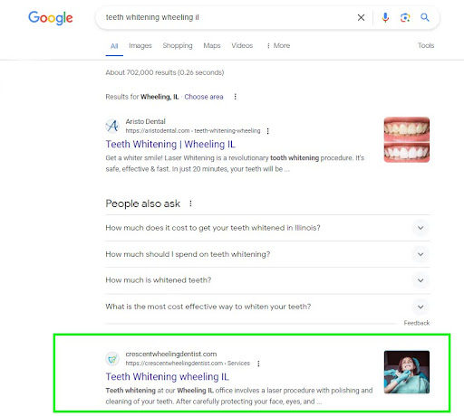 organic search results