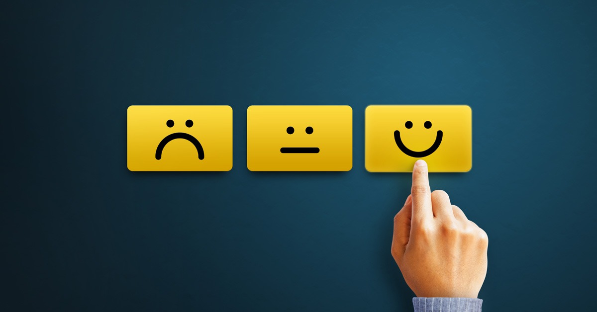 Continually seek Feedback and Improvement